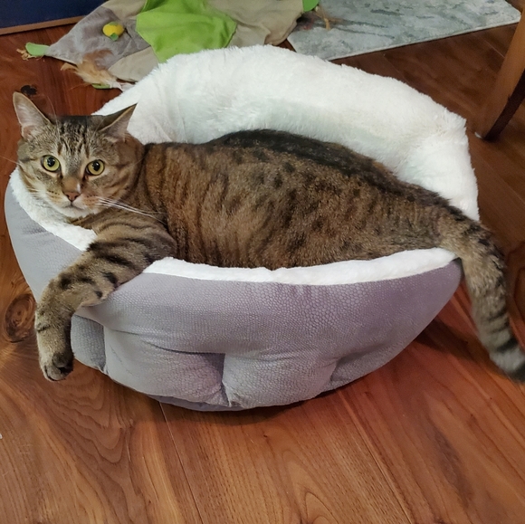 Meet your Posher, Susan - Picture 2 of 2